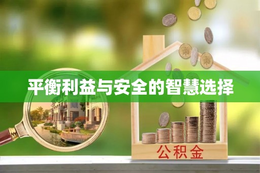 道滘平衡利益与安全的智慧选择