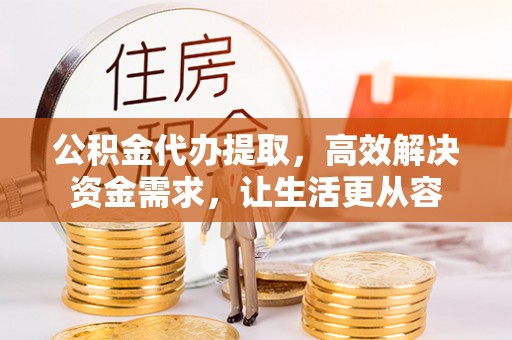 道滘公积金代办提取，高效解决资金需求，让生活更从容