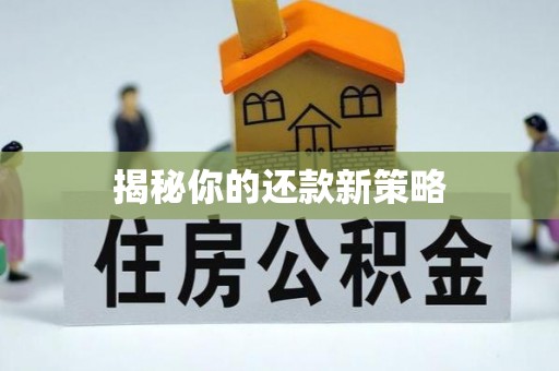道滘揭秘你的还款新策略