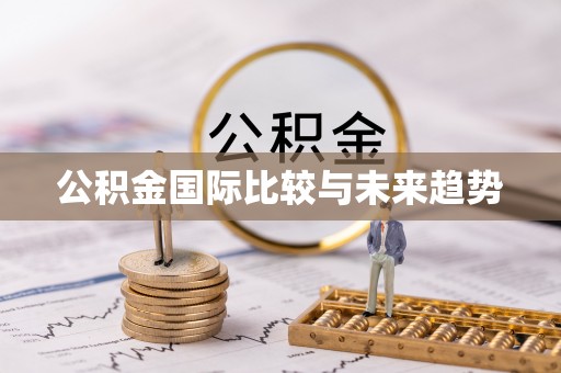 道滘公积金国际比较与未来趋势