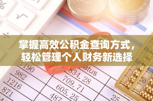 道滘掌握高效公积金查询方式，轻松管理个人财务新选择