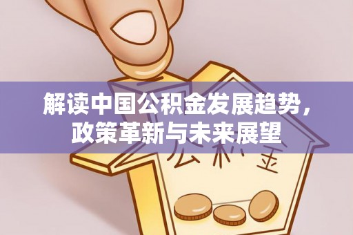 道滘解读中国公积金发展趋势，政策革新与未来展望