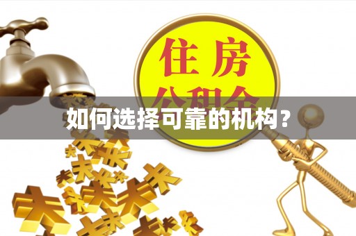 道滘如何选择可靠的机构？