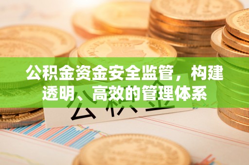 道滘公积金资金安全监管，构建透明、高效的管理体系