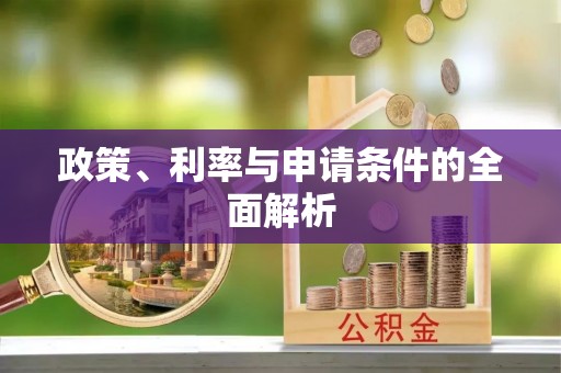 道滘政策、利率与申请条件的全面解析