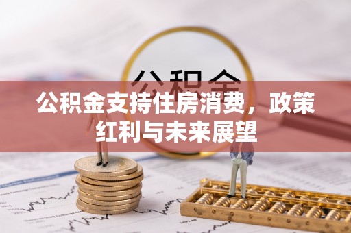 道滘公积金支持住房消费，政策红利与未来展望