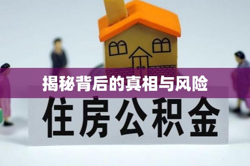 道滘揭秘背后的真相与风险