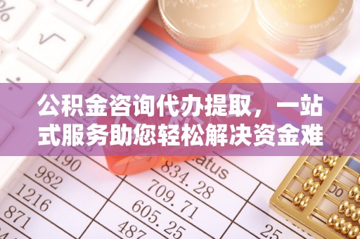 道滘公积金咨询代办提取，一站式服务助您轻松解决资金难题
