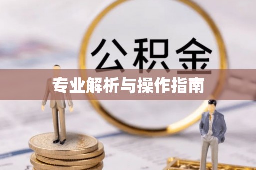 道滘专业解析与操作指南