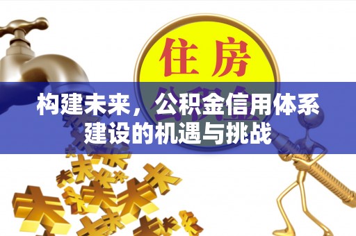 道滘构建未来，公积金信用体系建设的机遇与挑战