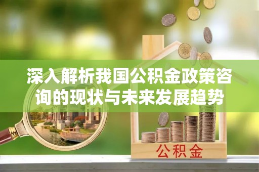 道滘深入解析我国公积金政策咨询的现状与未来发展趋势