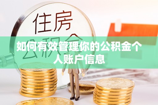 道滘如何有效管理你的公积金个人账户信息