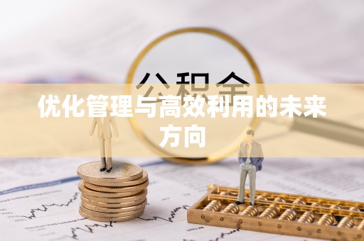 道滘优化管理与高效利用的未来方向