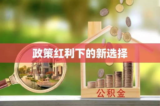 道滘政策红利下的新选择