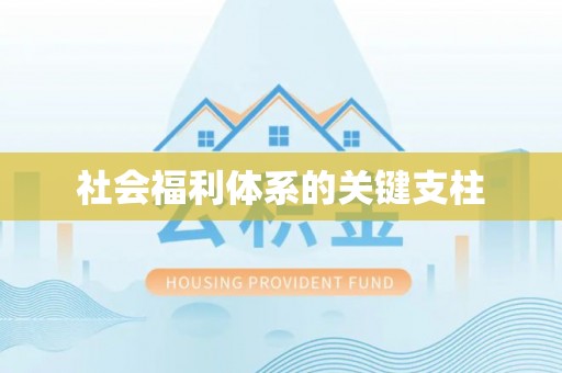 道滘社会福利体系的关键支柱