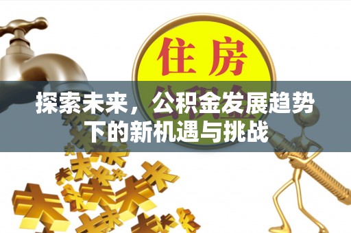 道滘探索未来，公积金发展趋势下的新机遇与挑战