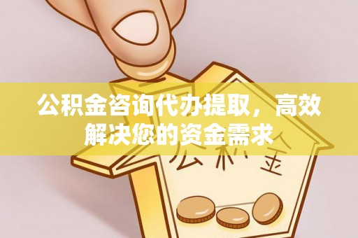 道滘公积金咨询代办提取，高效解决您的资金需求