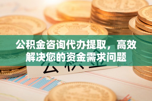 道滘公积金咨询代办提取，高效解决您的资金需求问题