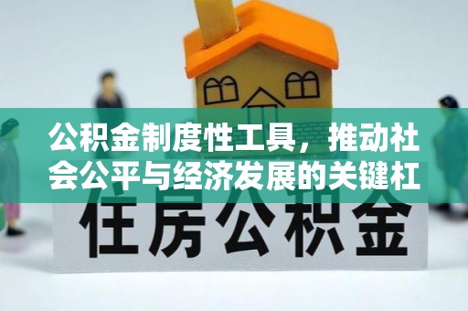 道滘公积金制度性工具，推动社会公平与经济发展的关键杠杆