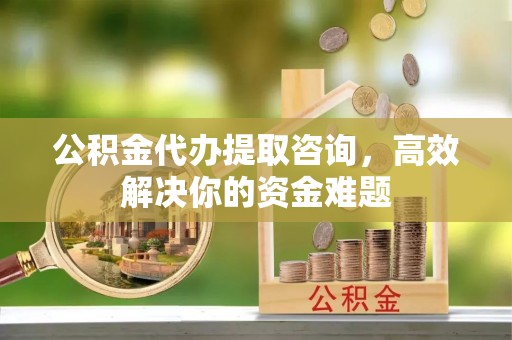 道滘公积金代办提取咨询，高效解决你的资金难题