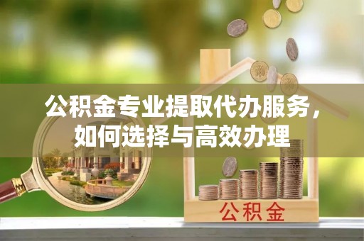 道滘公积金专业提取代办服务，如何选择与高效办理