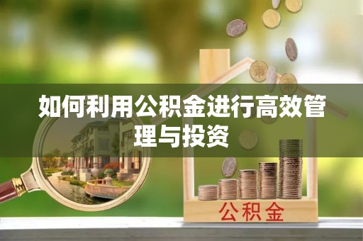 道滘如何利用公积金进行高效管理与投资