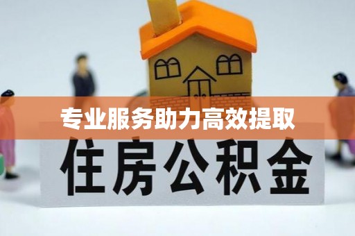 道滘专业服务助力高效提取