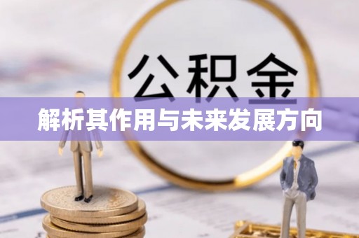 道滘解析其作用与未来发展方向